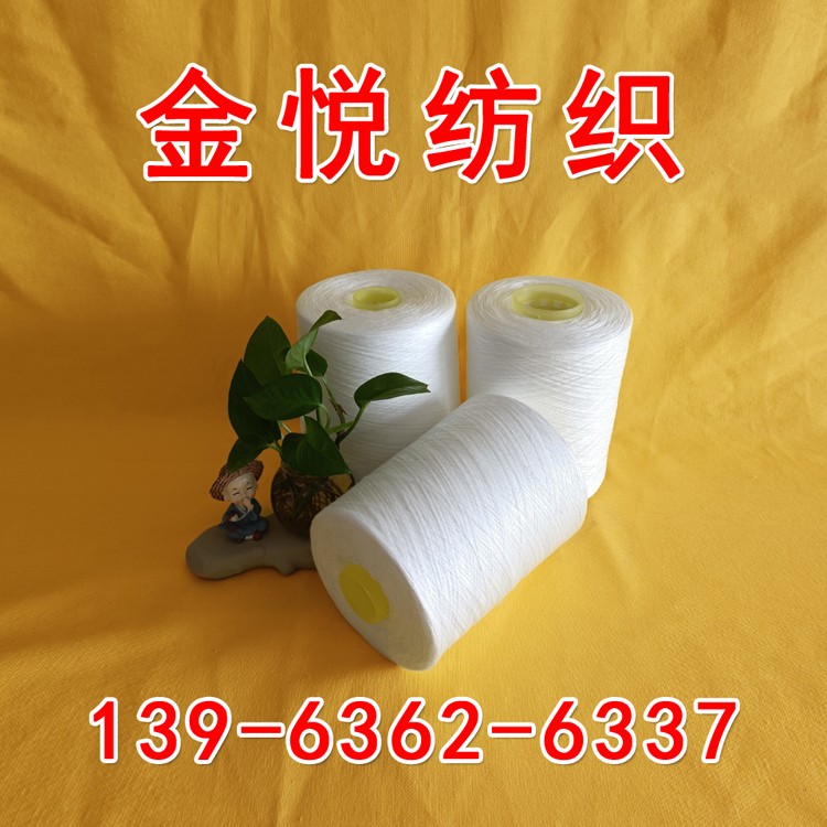 8.19 再生涤纶缝纫线 GRS再 生 涤纶纱 再生涤棉纱 再生涤色纺纱13963626337